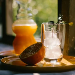 Dragonfly Juice Glass, Set of 6