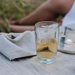 Dragonfly Juice Glass, Set of 6