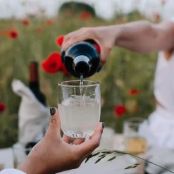 Dragonfly Tumbler, Set of 6