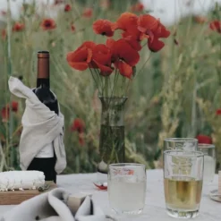 Dragonfly Tumbler, Set of 6