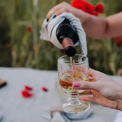 Dragonfly Wine Glass, Set of 6