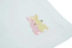 Easter Chicks and Bunny Napkin, Set of 2