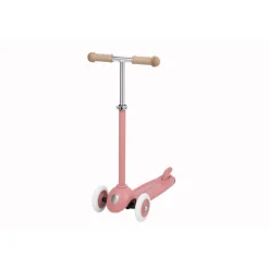 Eco Scooter in Raspberry