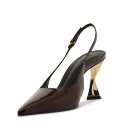 Elisha Pump in Maplewood