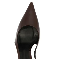 Elisha Pump in Maplewood