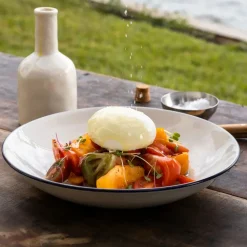 Entre Bowls in Navy Rim