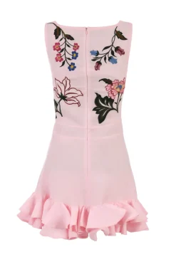 Flirt Embroidered Mini Dress
