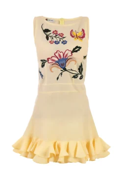 Flirt Embroidered Mini Dress