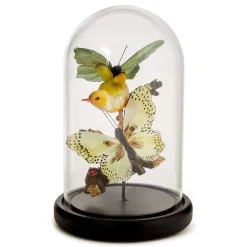 Flora and Fauna Butterfly & Bird Sculpture in Round Dome