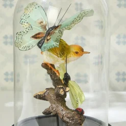 Flora and Fauna Butterfly & Bird Sculpture in Round Dome