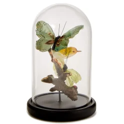 Flora and Fauna Butterfly & Bird Sculpture in Round Dome