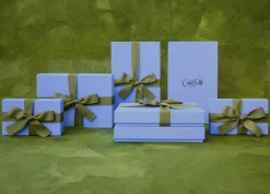Floretta Gift Enclosure Cards