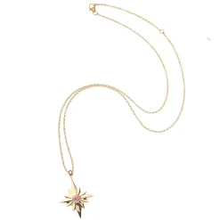 Forever Make A Wish Birthstone Star Pendant Necklace