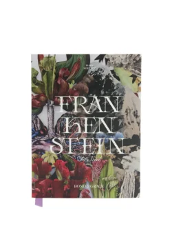 Frankenstein Art Novel