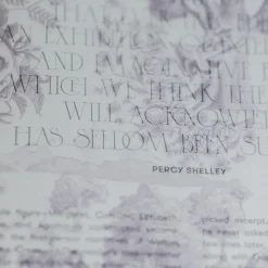 Frankenstein Art Novel Collector's Edition