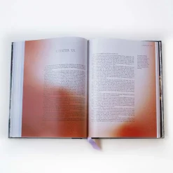 Frankenstein Art Novel Collector's Edition