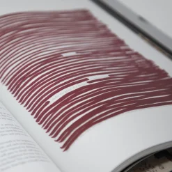 Frankenstein Art Novel Collector's Edition