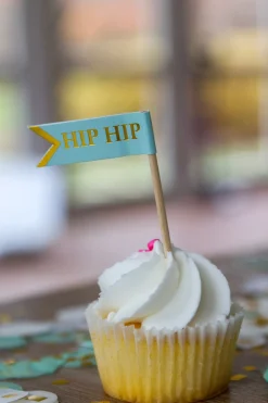 Fun Fair Cupcake Kit