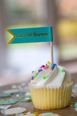 Fun Fair Cupcake Kit