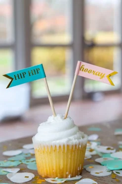 Fun Fair Cupcake Kit