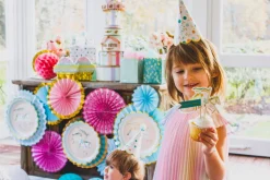 Fun Fair Cupcake Kit