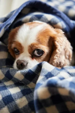 Gingham Navy Midi Blanket