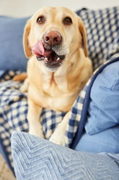 Gingham Navy Midi Blanket