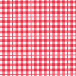 Girl’s Poppy Gingham Rounded Collar One Piece