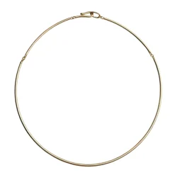 Golden Collar Necklace