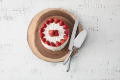 Grand City Cake Server 10.3