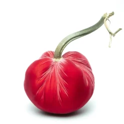 Guava Silk Velvet Pumpkin