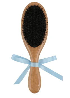 Hairbrush in Sailboat