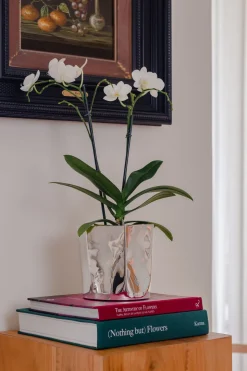 Hexagon Silver-Plated Ice Bucket