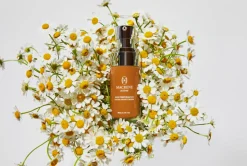 High Performance Tinted Moisturizer