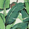 Hinson Palm in Wide Width Wallpaper