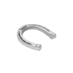 Horseshoe Paperweight