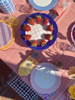 Hot Cakes Cake Stand in Navy & Pink Gingham