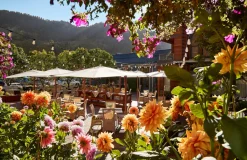 Hotel Jerome and Madeline Hotel Colorado, 4-Night Stay