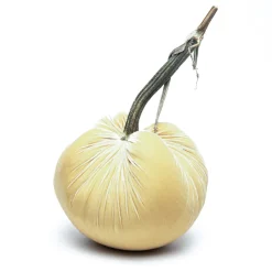 Husk Silk Velvet Pumpkin
