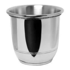 Images of America Cup