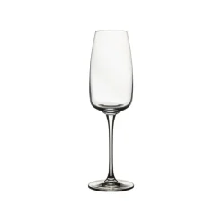 Isabel Collection Flutes 9.75 oz in Clear, Set of 6