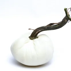 Ivory Silk Velvet Pumpkin