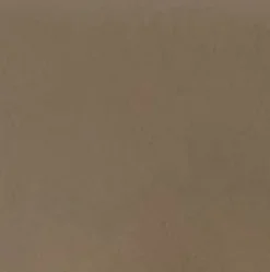 Jane in Vacchetta Mushroom