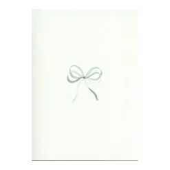 Lake Blue Bow Ribbon Cards, Set of 5