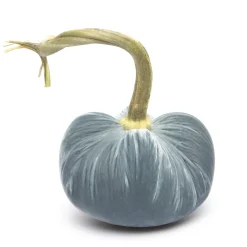 Lake Silk Velvet Pumpkin