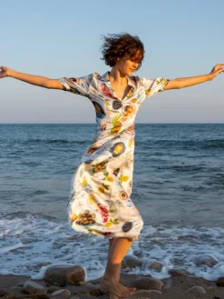 Lampi Button Down Dress in Lunch