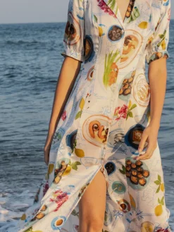 Lampi Button Down Dress in Lunch