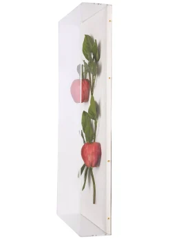 Large Fruit Study Apples On Snow Linen