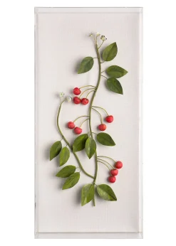 Large Fruit Study Cherries On Snow Linen