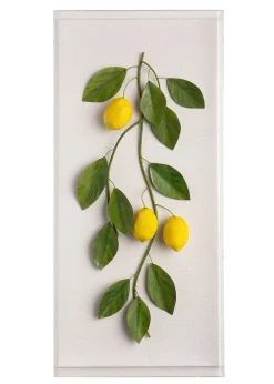 Large Fruit Study Lemons On Snow Linen